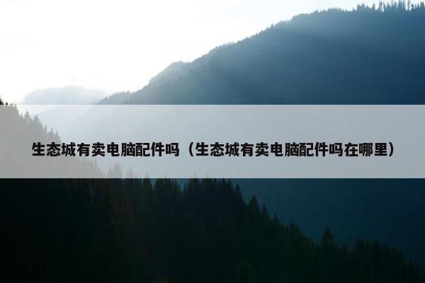 生态城有卖电脑配件吗（生态城有卖电脑配件吗在哪里）
