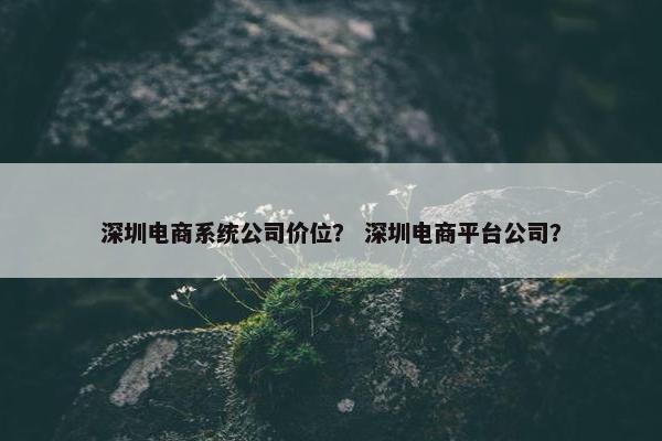 深圳电商系统公司价位？ 深圳电商平台公司？
