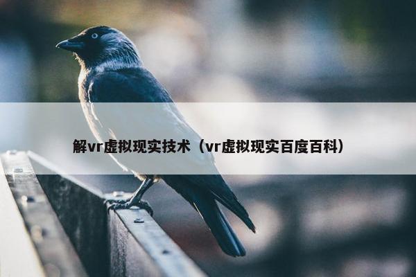 解vr虚拟现实技术（vr虚拟现实百度百科）