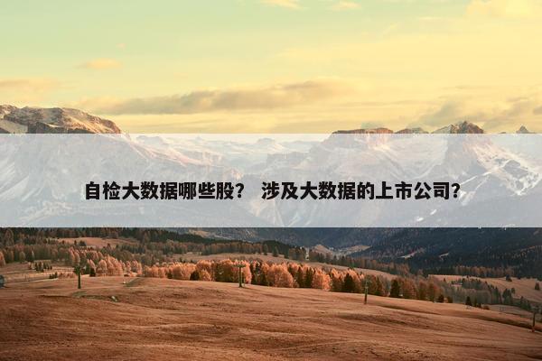自检大数据哪些股？ 涉及大数据的上市公司？