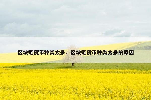 区块链货币种类太多，区块链货币种类太多的原因