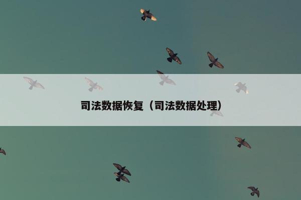 司法数据恢复（司法数据处理）