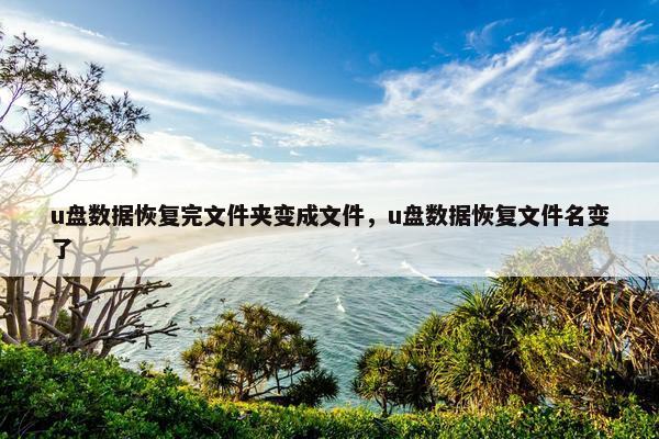 u盘数据恢复完文件夹变成文件，u盘数据恢复文件名变了
