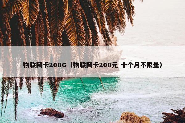 物联网卡200G（物联网卡200元 十个月不限量）