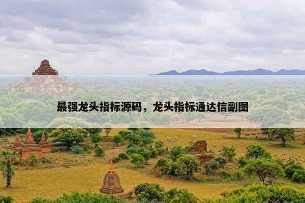 最强龙头指标源码，龙头指标通达信副图