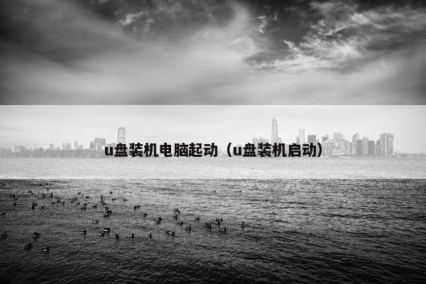 u盘装机电脑起动（u盘装机启动）