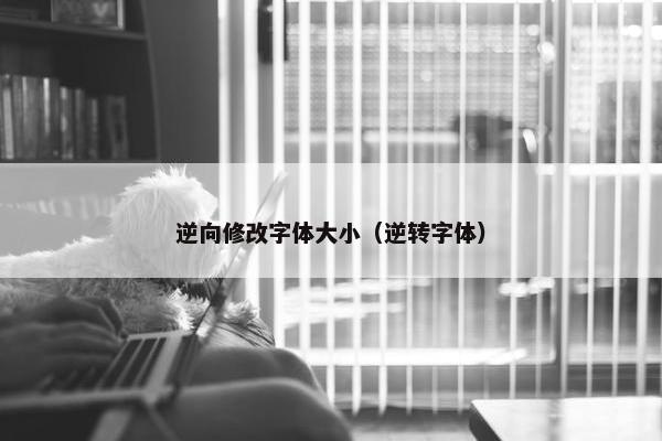 逆向修改字体大小（逆转字体）