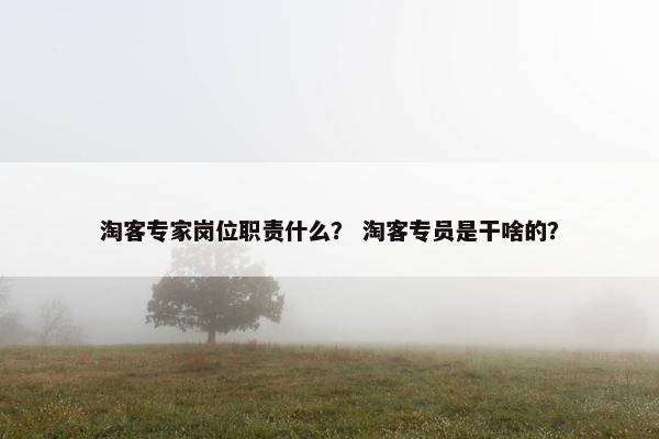 淘客专家岗位职责什么？ 淘客专员是干啥的？