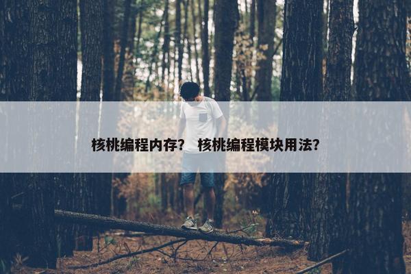 核桃编程内存？ 核桃编程模块用法？