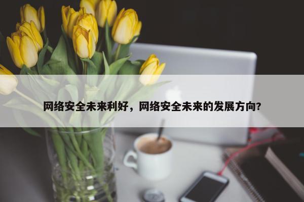 网络安全未来利好，网络安全未来的发展方向?
