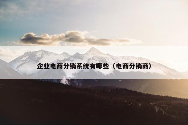 企业电商分销系统有哪些（电商分销商）
