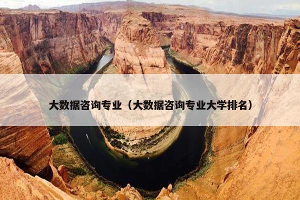 大数据咨询专业（大数据咨询专业大学排名）