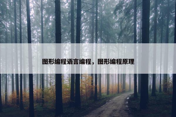 图形编程语言编程，图形编程原理