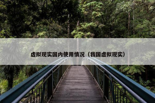 虚拟现实国内使用情况（我国虚拟现实）
