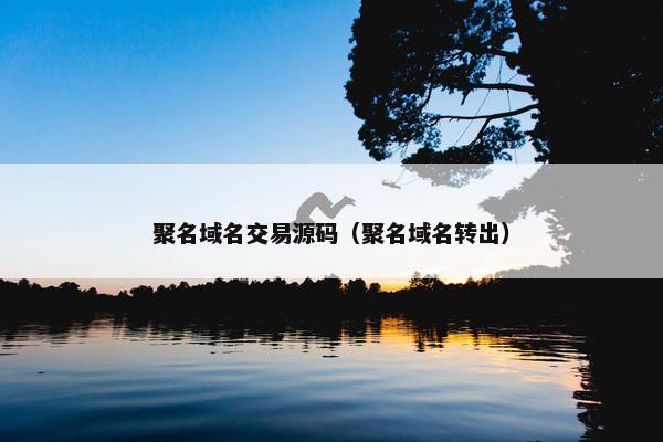 聚名域名交易源码（聚名域名转出）