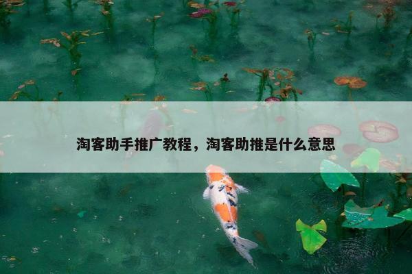 淘客助手推广教程，淘客助推是什么意思