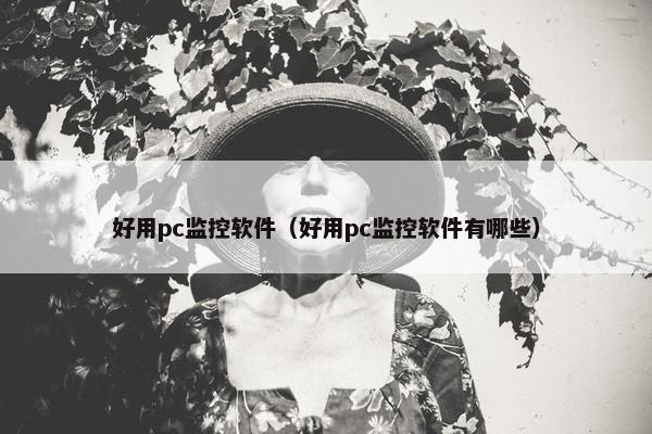 好用pc监控软件（好用pc监控软件有哪些）