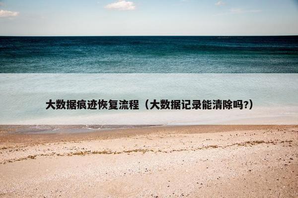 大数据痕迹恢复流程（大数据记录能清除吗?）