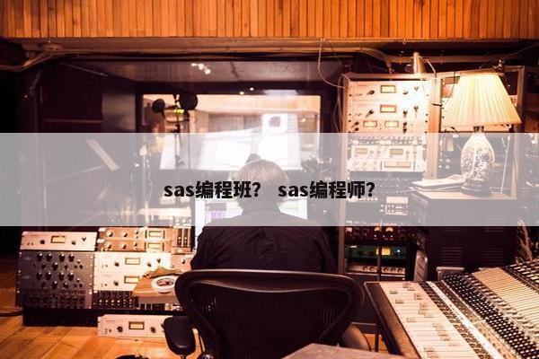 sas编程班？ sas编程师？
