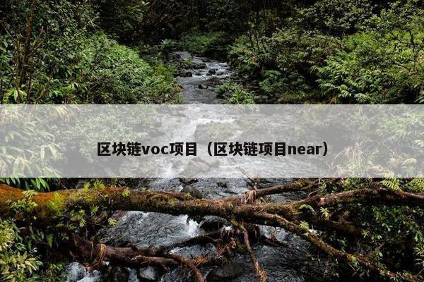 区块链voc项目（区块链项目near）