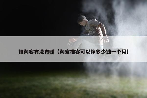 推淘客有没有赚（淘宝推客可以挣多少钱一个月）
