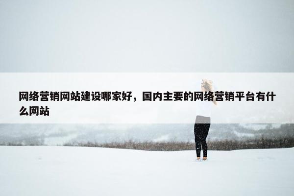 网络营销网站建设哪家好，国内主要的网络营销平台有什么网站