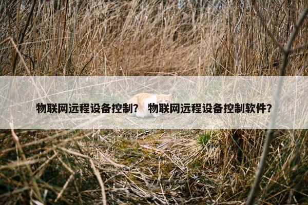 物联网远程设备控制？ 物联网远程设备控制软件？