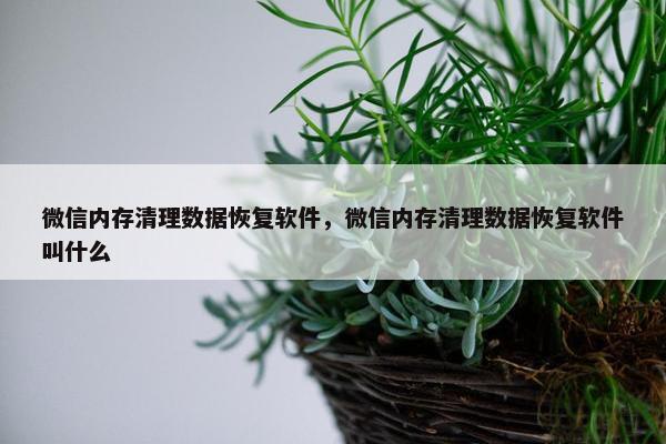 微信内存清理数据恢复软件，微信内存清理数据恢复软件叫什么