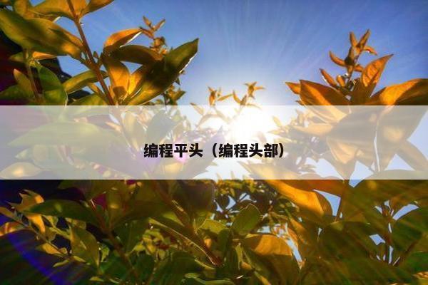 编程平头（编程头部）