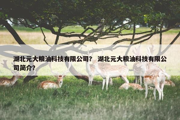 湖北元大粮油科技有限公司？ 湖北元大粮油科技有限公司简介？