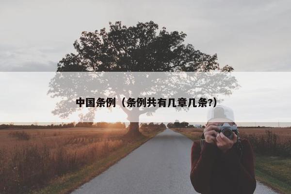 中国条例（条例共有几章几条?）