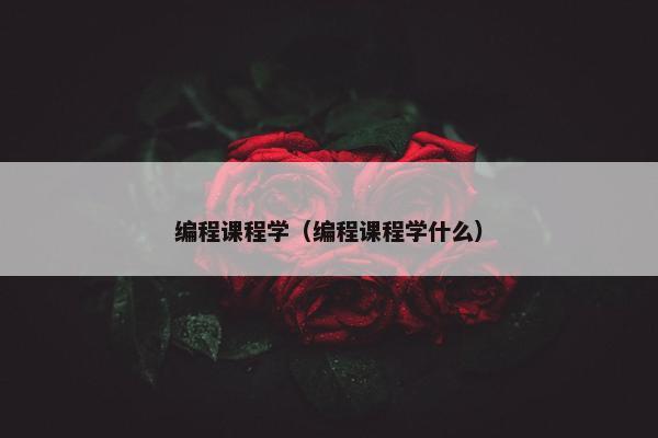 编程课程学（编程课程学什么）