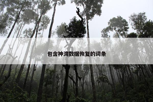 包含神湾数据恢复的词条