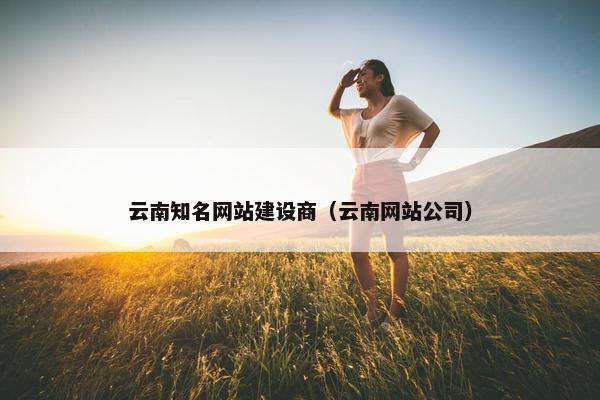 云南知名网站建设商（云南网站公司）