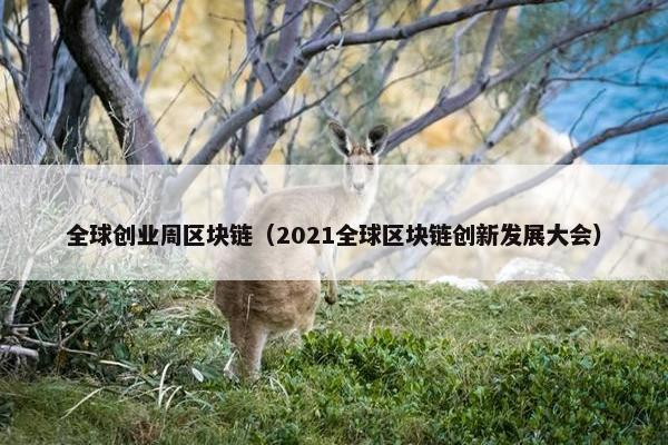 全球创业周区块链（2021全球区块链创新发展大会）