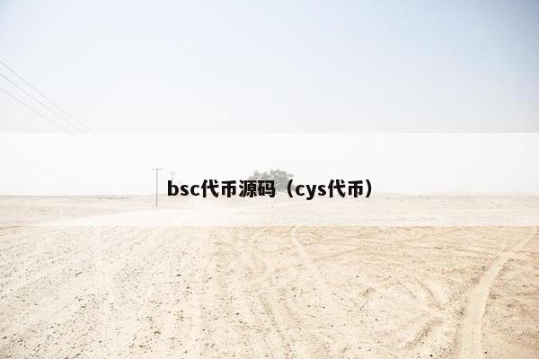 bsc代币源码（cys代币）