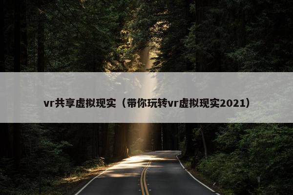 vr共享虚拟现实（带你玩转vr虚拟现实2021）