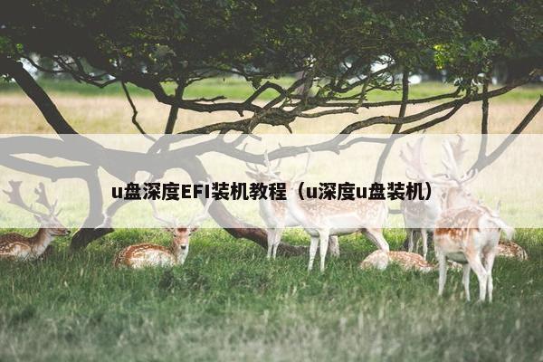 u盘深度EFI装机教程（u深度u盘装机）
