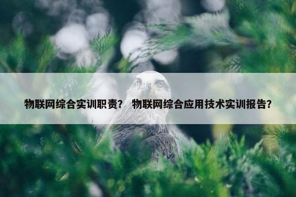 物联网综合实训职责？ 物联网综合应用技术实训报告？