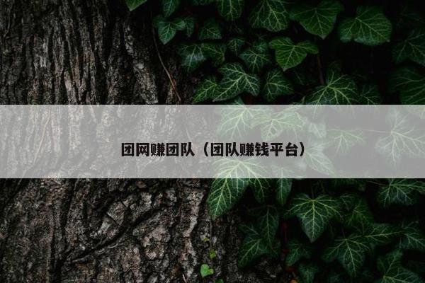 团网赚团队（团队赚钱平台）