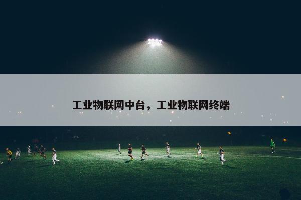 工业物联网中台，工业物联网终端