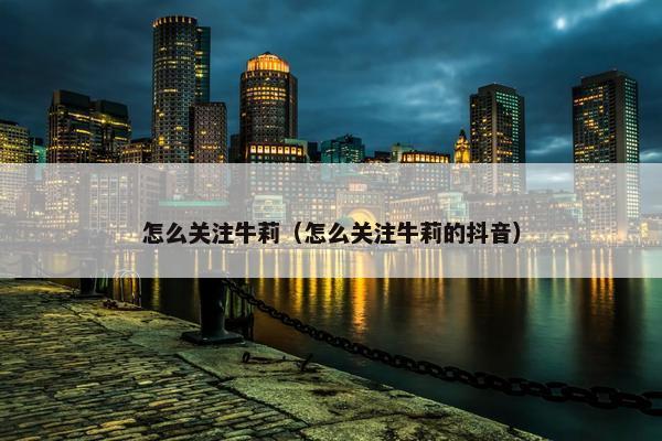 怎么关注牛莉（怎么关注牛莉的抖音）