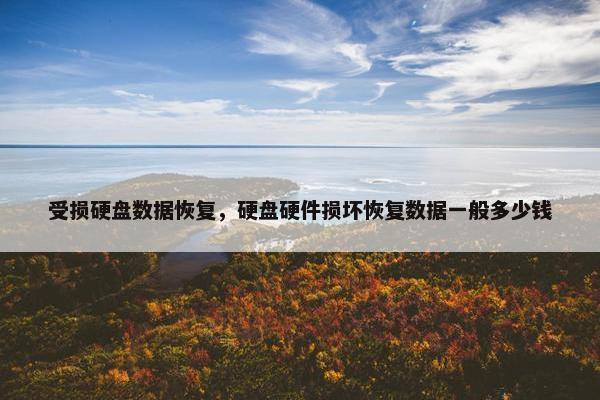 受损硬盘数据恢复，硬盘硬件损坏恢复数据一般多少钱