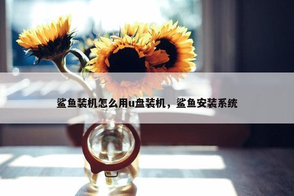 鲨鱼装机怎么用u盘装机，鲨鱼安装系统
