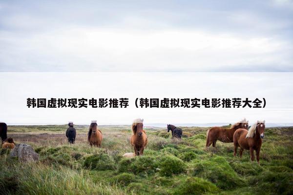 韩国虚拟现实电影推荐（韩国虚拟现实电影推荐大全）