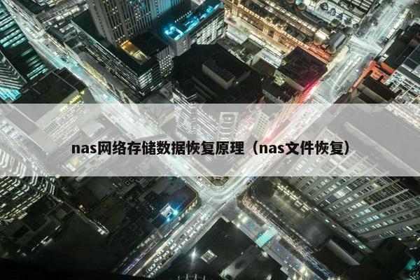 nas网络存储数据恢复原理（nas文件恢复）