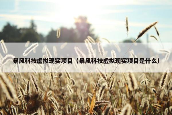 暴风科技虚拟现实项目（暴风科技虚拟现实项目是什么）