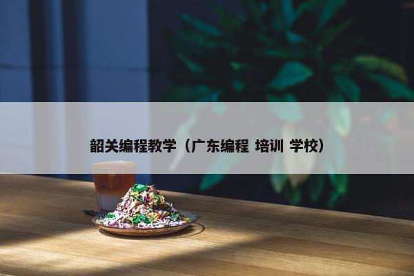 韶关编程教学（广东编程 培训 学校）