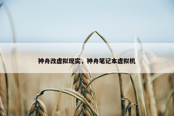 神舟改虚拟现实，神舟笔记本虚拟机