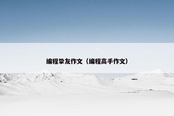 编程挚友作文（编程高手作文）